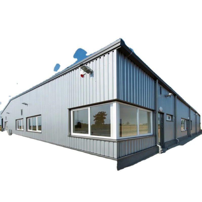 60*30*6M Industrial metal construction Prefab Steel Structure Building Warehouse Structure prefabricated workshop hangar