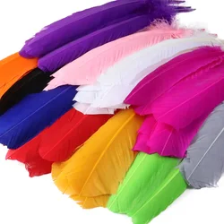Cheap natural colorful dream catcher feathers for carnival costumes white pink decorative turkey feather