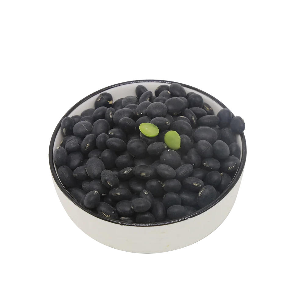 Factory Sale Bulk Black Beans with High Quality