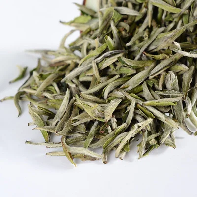 High Mountain Th 41022 Maroc Puer Tea Bag China Green 9371 for Oglispermia