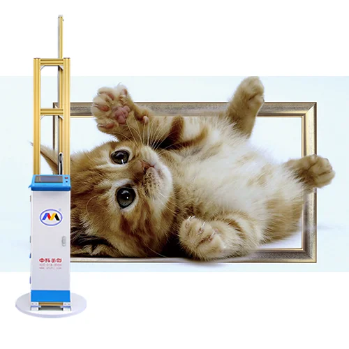 Home Decal High Resolution 3D Wall Mural Printing Machine School Workshop Art 4D 5D Inkjet Printers