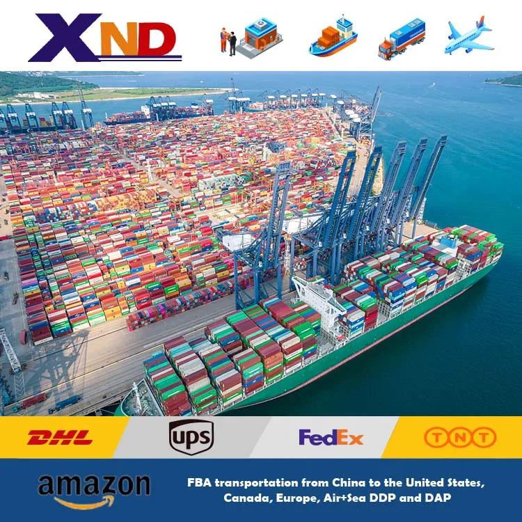 china to india sea freight door to door delivery service calculate cost sea freight LCL Logistics service from  China