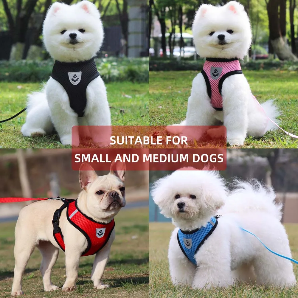 
Great Value For Money Gifts Stores Outdoor Multi-color Dog Vests 