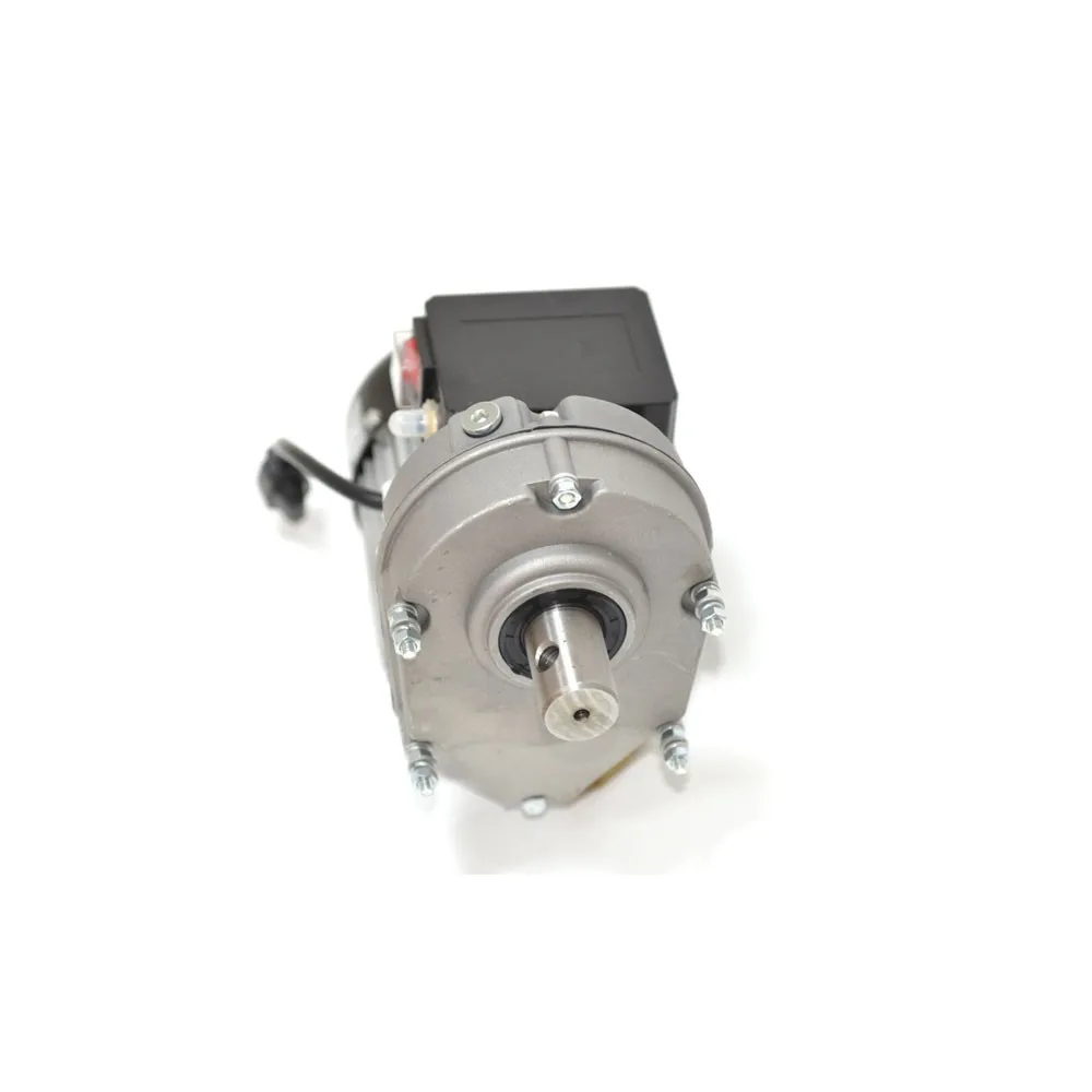 Однофазный электродвигатель переменного тока 250 Вт с высоким крутящим моментом и низкой скоростью