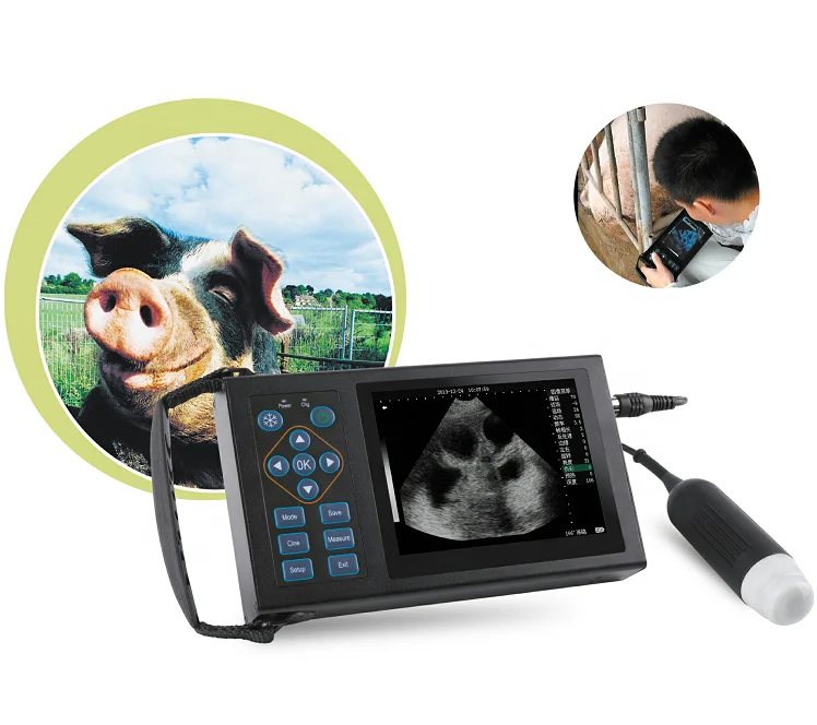B/W veterinary ultrasound machine pig sheep vet use portable ultrasound machine Giantman S6