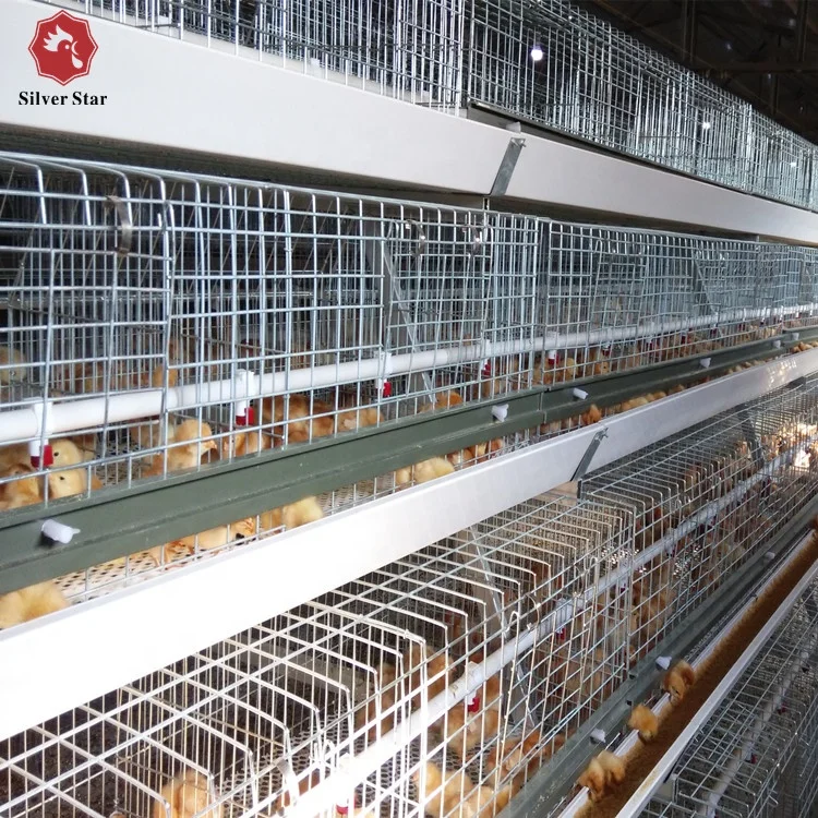 Automatic Pullet Chick Battery Cage for Day Old Layer Chick Cage