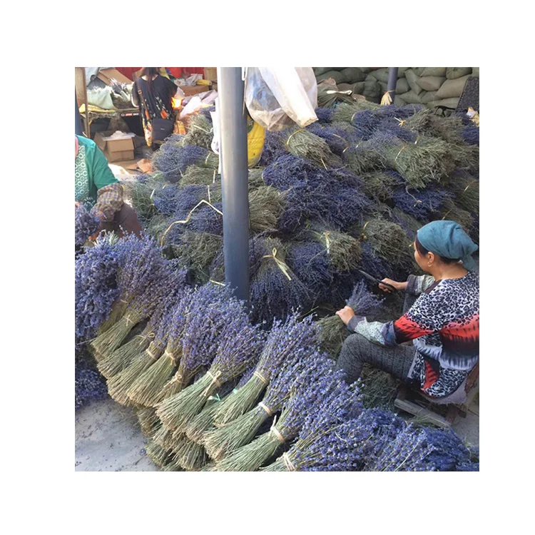 
Wholesale Customized Good Quality Dried Flower Bride Bouquet Of Flowers 