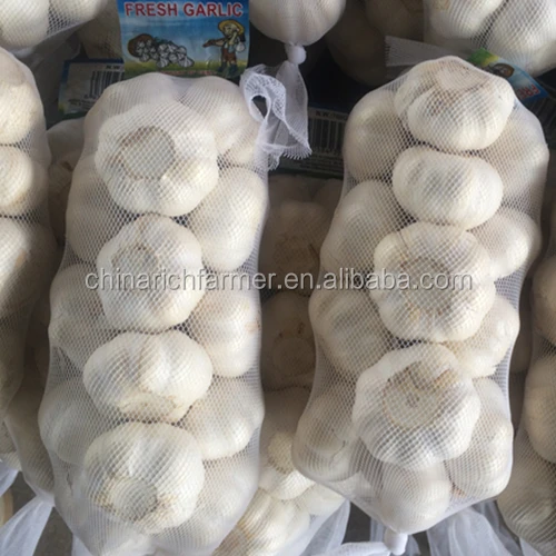 New Crop Fresh Chinese Pure White Garlic Fresh Garlic Supplier