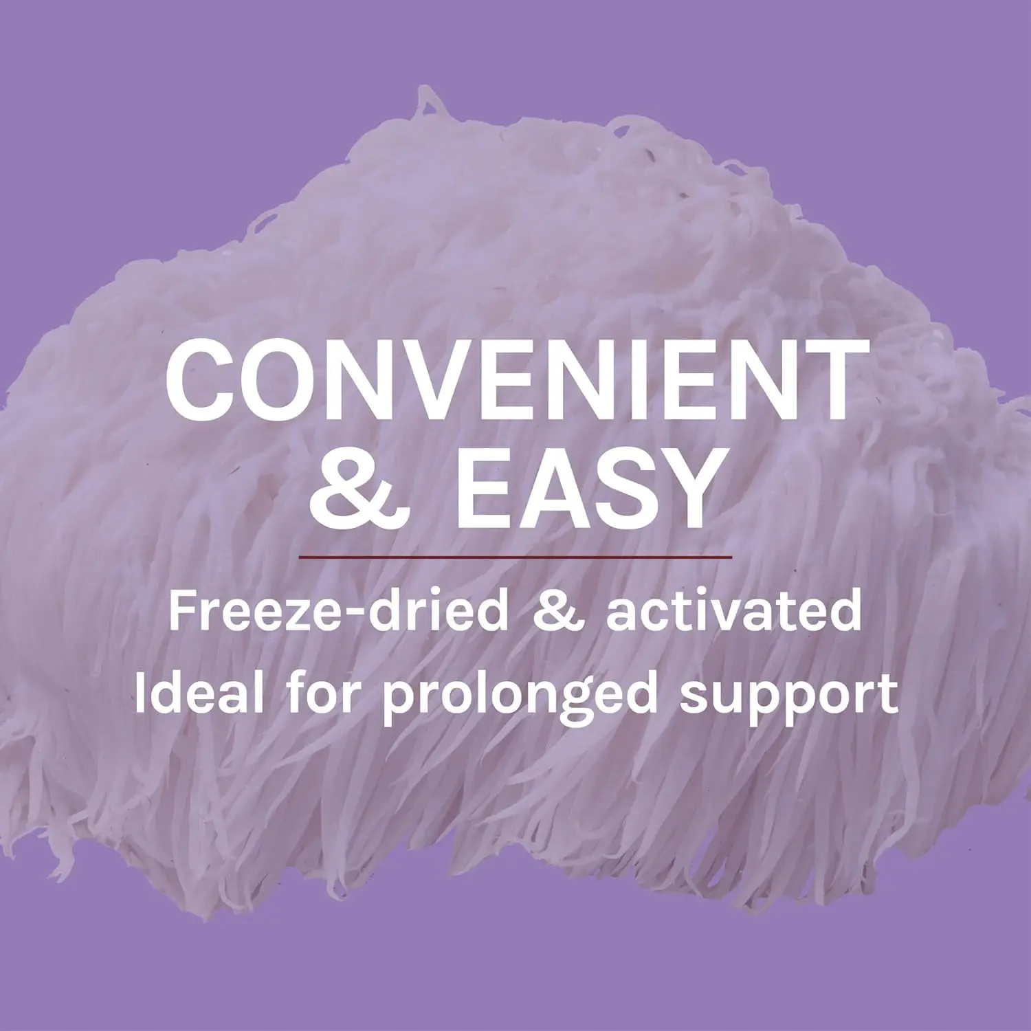 New Product Dietary Supplements Capsules Herbal Mushroom Extract Hericium Erinaceus Lions Mane