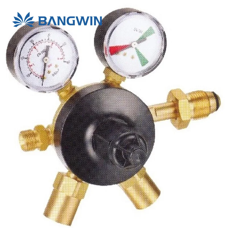 Best of Dual Stage Argon With Compression Fittings Gas Pressure Regulator