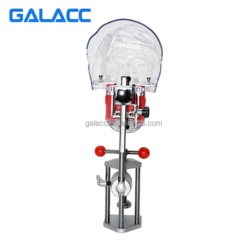 Simple Dental Head Model T Dental Phantom Head Model Simulator Human Body Model Kits To Assemble Goods