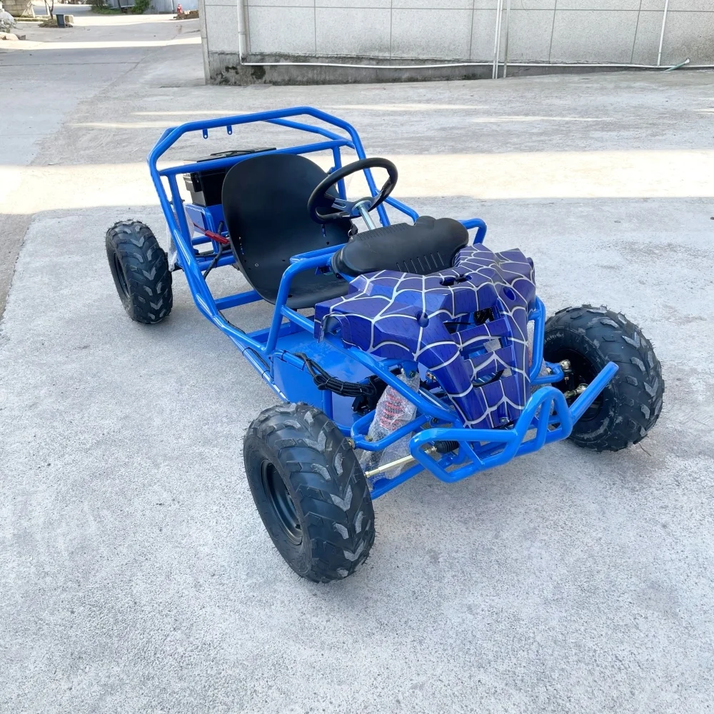 LNA elegant design 1500w electric go kart