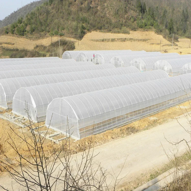 
Clear Agricultural Uv Protection Plastic Film Green house 