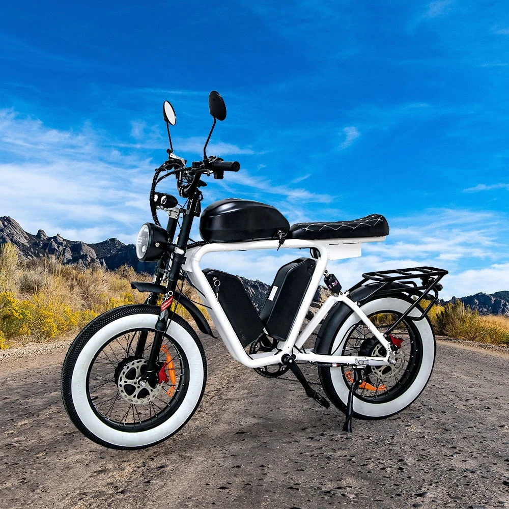 Dual Bafang  Motors Electric BIKE  48v 1000W  triple  lithium batteries fat tire electric bicycle wholesale bicicleta electrica