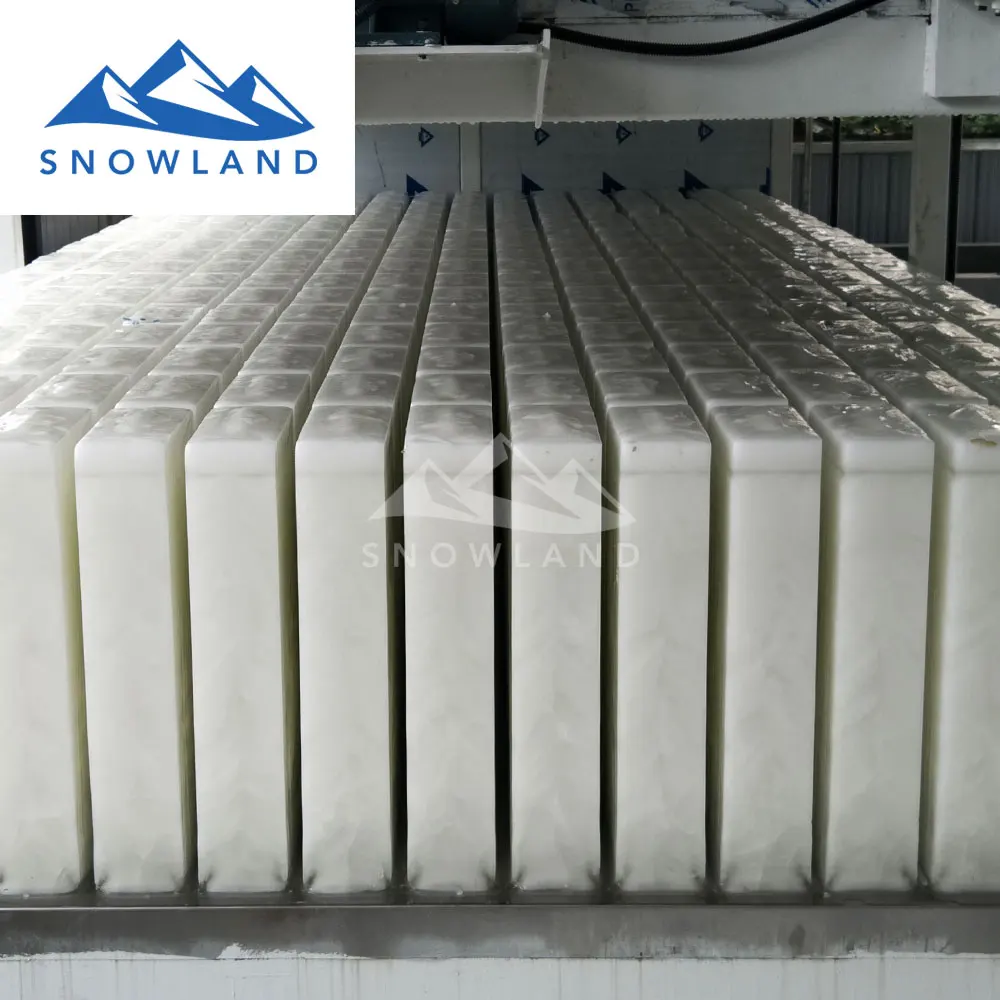 machine ice maker with 30 tons capacity block ice
