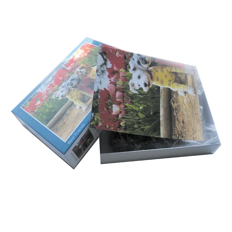 custom design 500 pieces Jigsaw Puzzle with poster