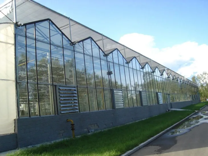 
Complete Large Strawberry hydroponic polycarbonate sheet Multifunctional Agriculture Greenhouse 