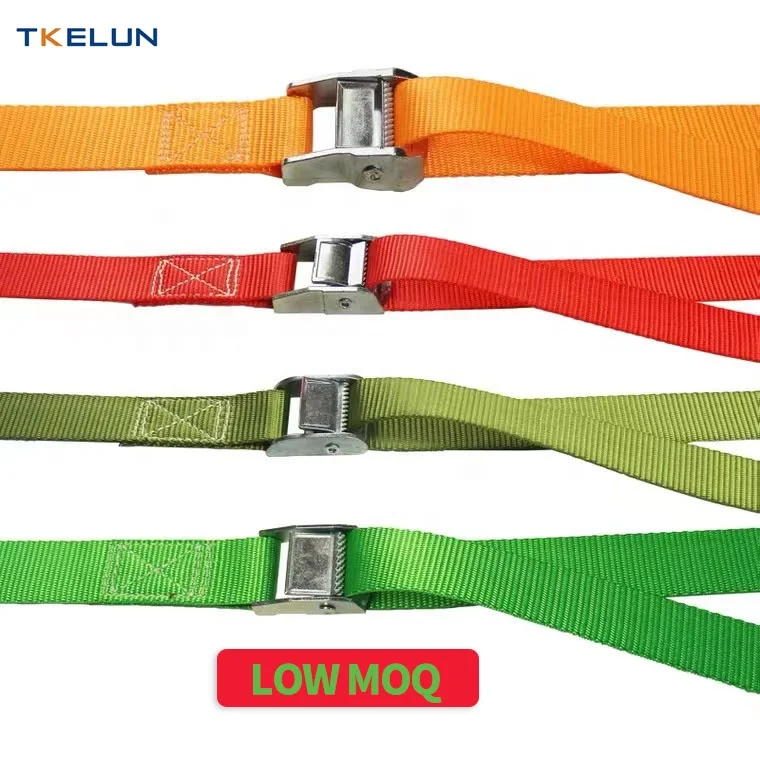 Luggage Cargo Shoulder Strap CAM Fastener Buckle Safe Bundling Belt Straps Zinc Alloy Manual Packing 25mm Lashing Webbing Belt