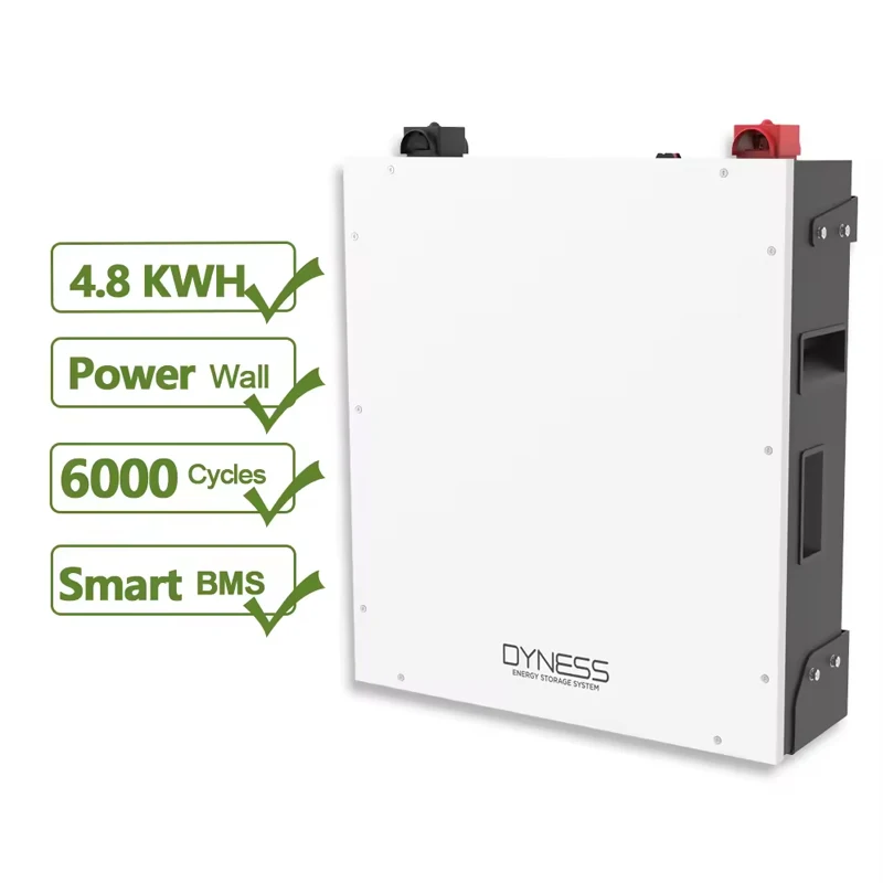Dyness 5kWh wall mounted Powerwall Solar Lithium Batteries Pack 48V 200Ah LifePO4 Battery for home electricity