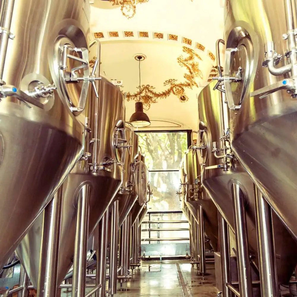 100L-100HL beer fermenter used brewery fermentation equipment