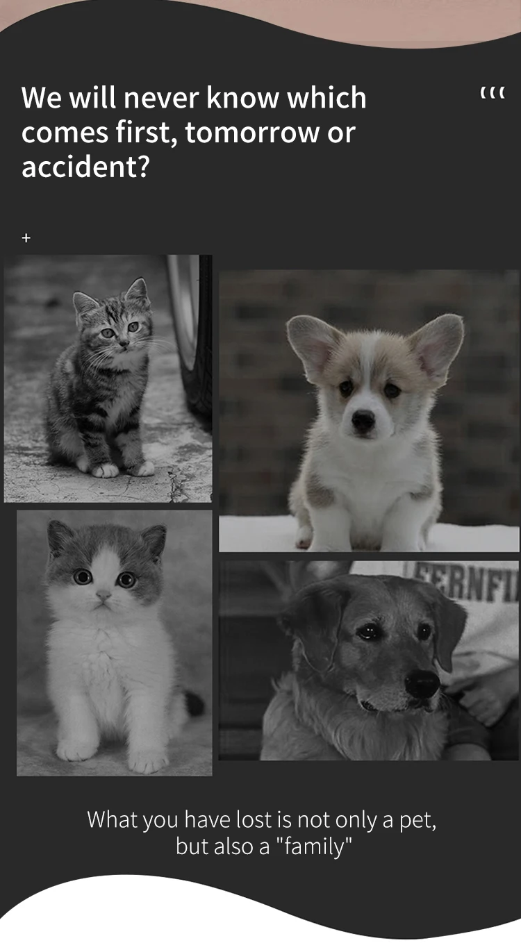 F9 Premium GPS Pet Tracker Easy-to-Use Cat and Dog Collar Locator Animal Tracking System one tracing