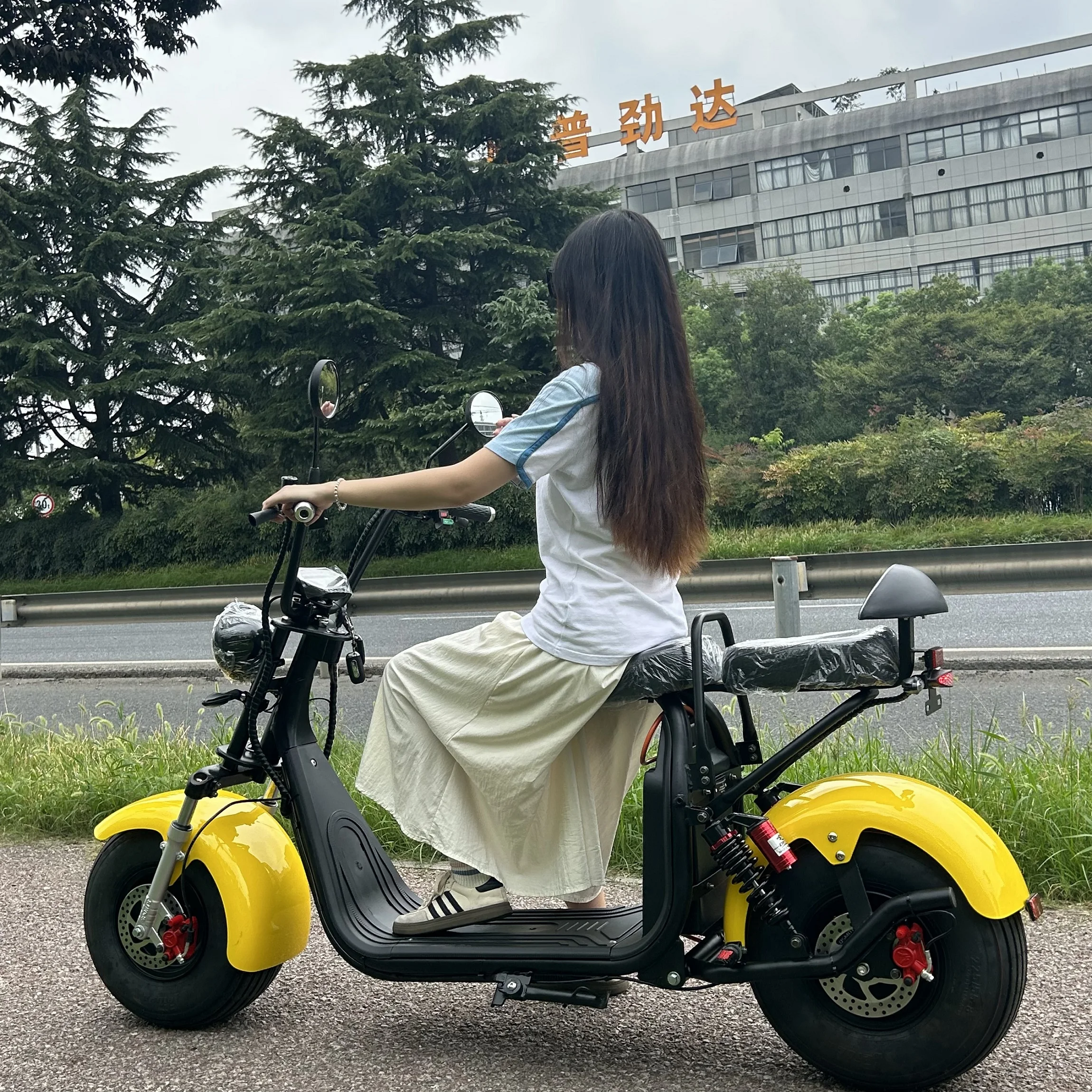 Best Selling 2000W Citycoco Scooter EEC COC 60V 12Ah 20Ah Battery LCD Display 8 10 Inch Tires Halogen LED Lights unisex