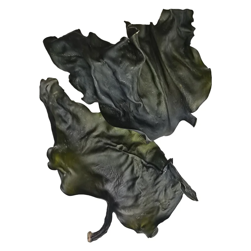 Healthy organic kombu food grade kombu dried cut kombu for sale