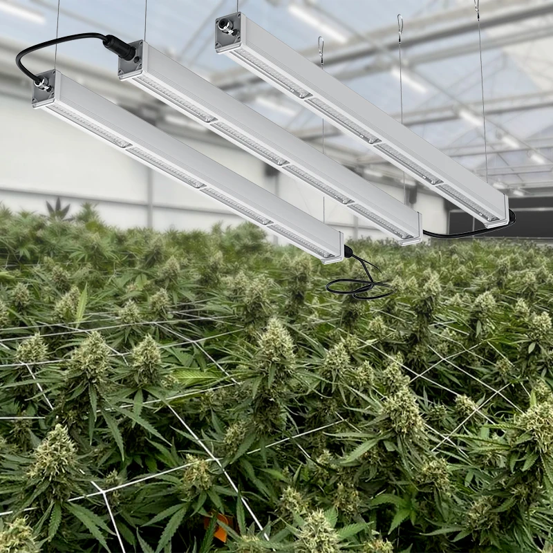 New Design SMD3030 3535 SAMSUNG 301B/H LED 200W full Spectrum plant Led grow light for greenhouse indoor Veg Fruits Grow Lamp