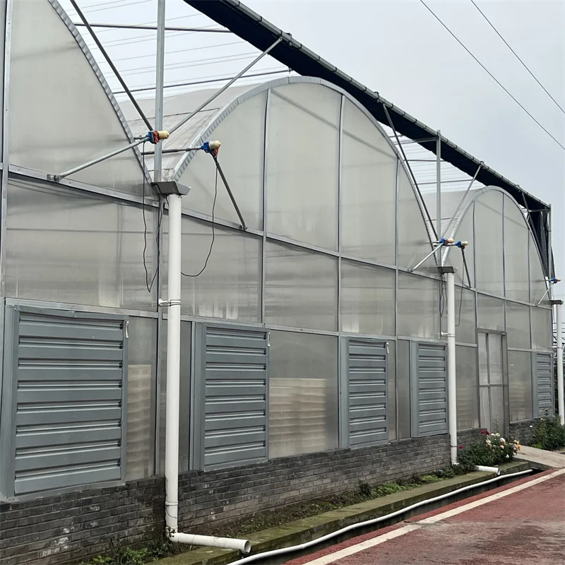 Wire Mesh Rolling Benches Galvanized Steel Structure Multi-span Greenhouse Agricultural Greenhouse Polycarbonate Kit For Plants