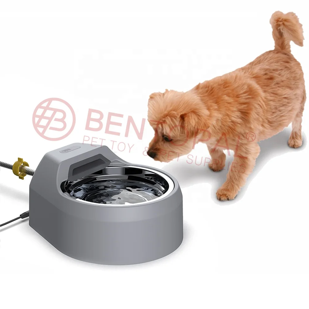 Automatic Pet Water Dispenser With Stainless Bowl Connect With Tap No Filter Water Bowl For Dogs
