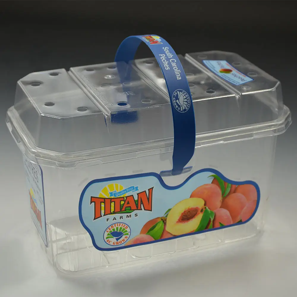 Fresh Strawberry package plastic fruit container disposable apple clear disposable packaging box fruit