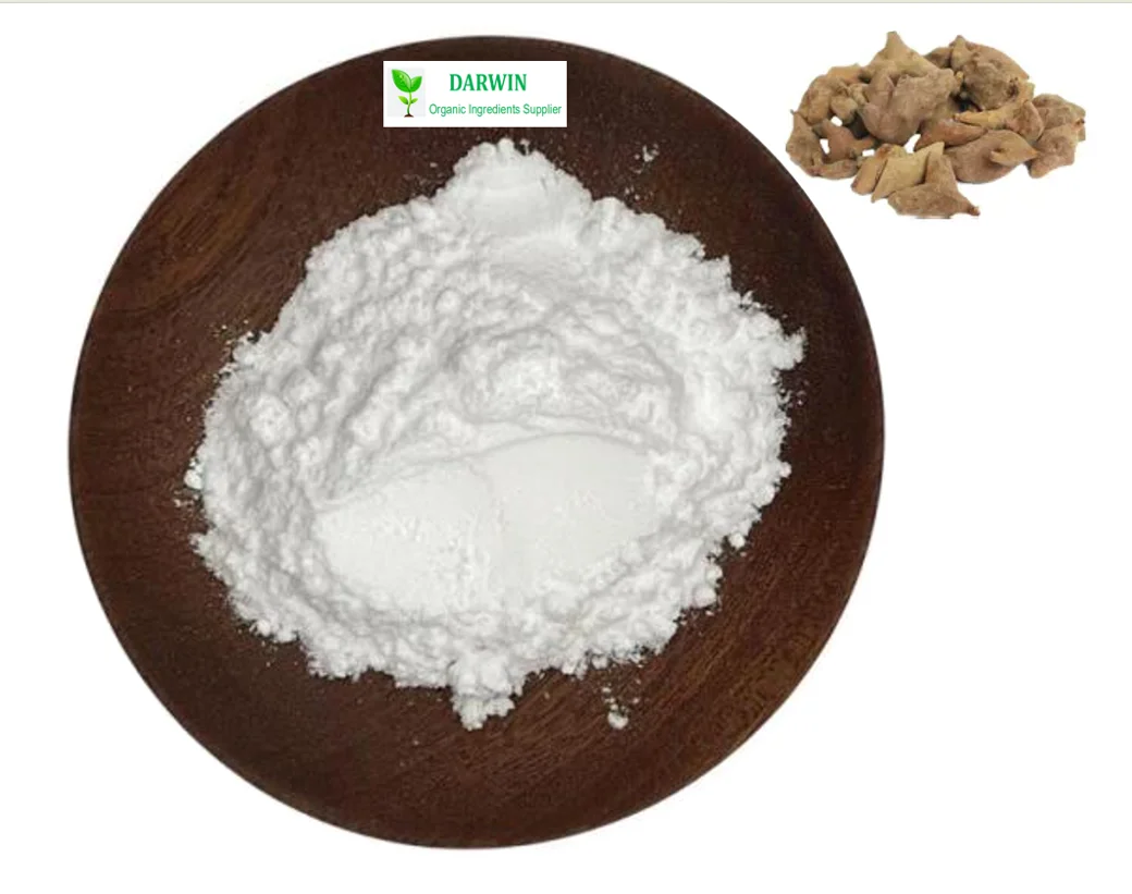 Natural Gallnut Extract Gallic Acid