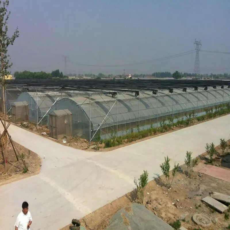 Agriculture hydroponic tunnel greenhouse steel wire cable