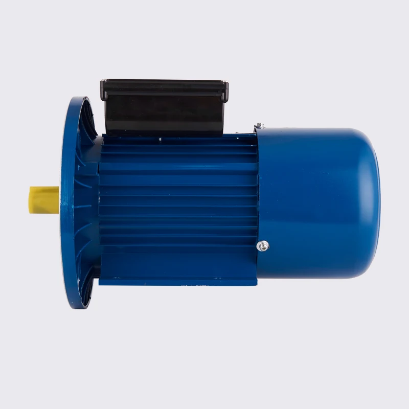 YL Series  2 HP Single Phase Induction Motor