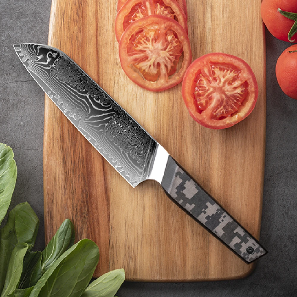 Kitchen knives Damascus Steel Japanese Knife with Camouflage G10 handle