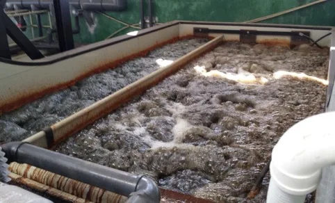 Electrocoagulation system in wastewater treatment plant for  sewage disposal