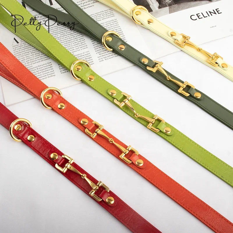 Fashion Luxury Products Durable Designer Chain Dog Collage Exlusiv Gold Dog Collar