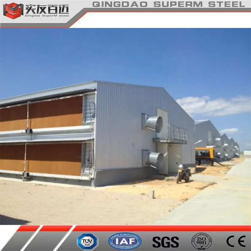 Cheap Price Prefabricated Light Steel Construction Building Steel Structure Poultry Farm Broiler Chicken House
