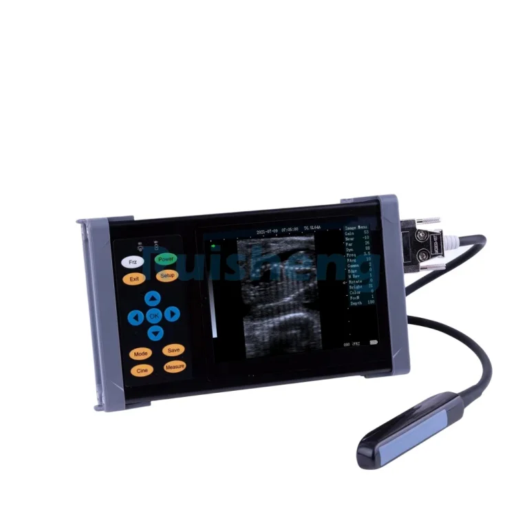 Ce Certified Animal Diagnostic Machine A20 Vet Ultrasound Price For Sale