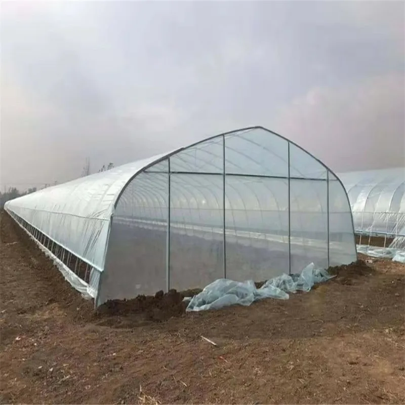 8x12 meter tunnel tomato greenhouse film hoop greenhouse for home garden