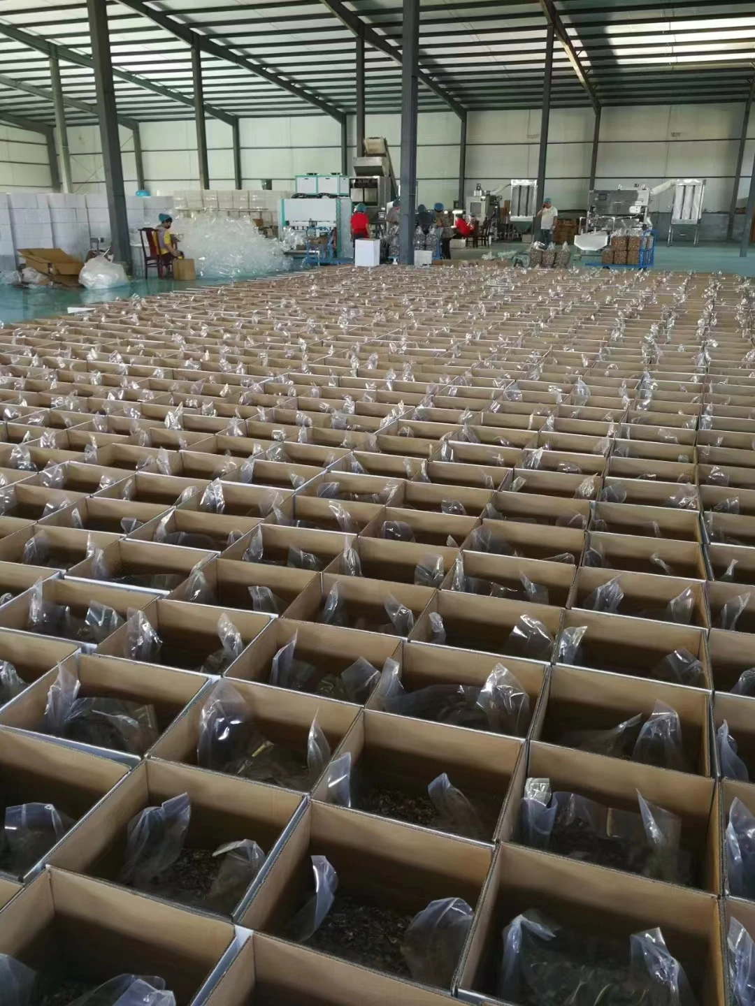 Fresh Dried Fruit Nuts Raw Halves Kernels Fruit Walnut Akhrot 33 new 2 Xinjiang China extra light 95% halves walnut kernel