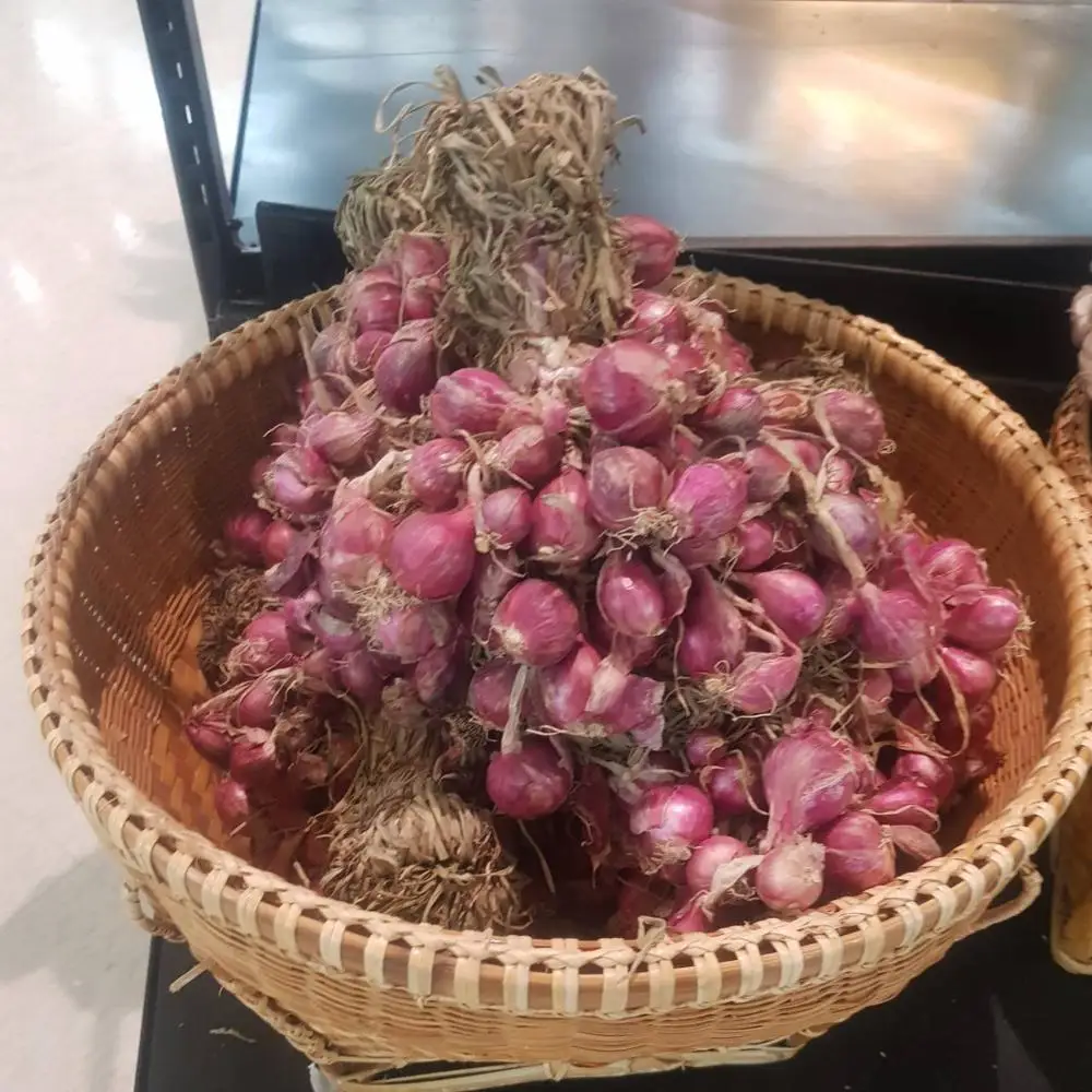 
AD Organic Export chinese thai indian Red onion fresh red shallot with best prices ads Agriculture Thai farm High Quality 