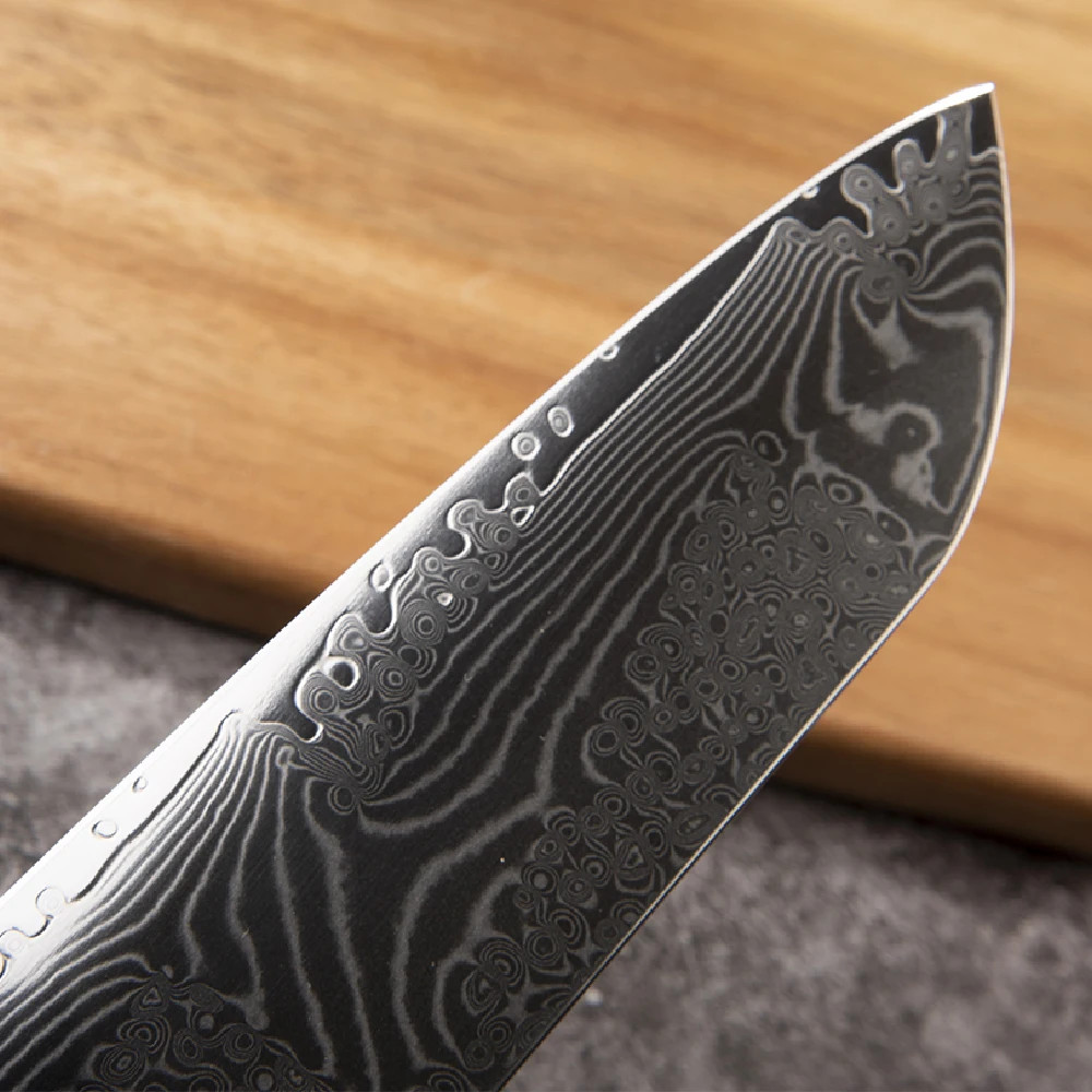 Kitchen knives Damascus Steel Japanese Knife with Camouflage G10 handle