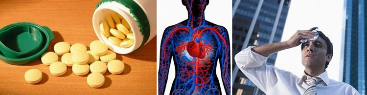 China Manufacturer High Quality Bamboo Leaf Extract.png