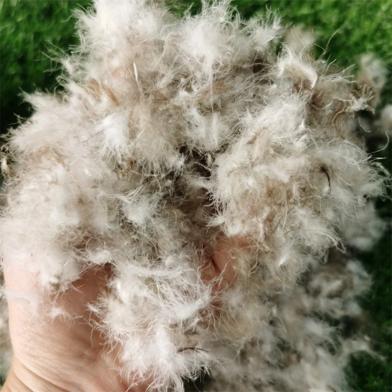 High Filling Power Wholesale Soft Natural Washed Raw Material 95% Grey Feather Duck Down for Pillow Quilt