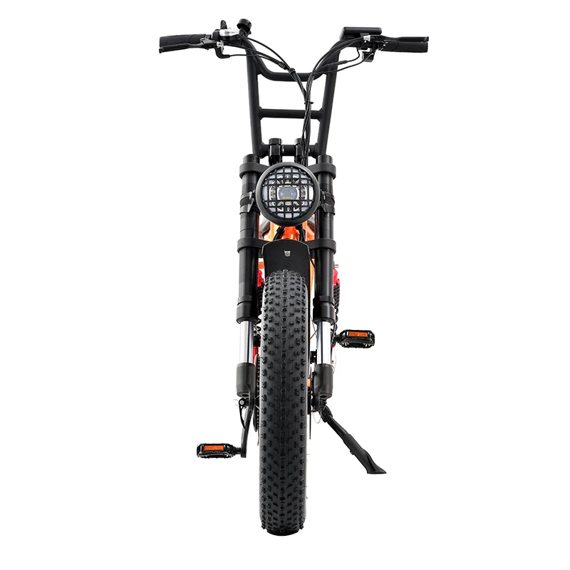 Fat Tire 48v Electric Bike 750W Mountain Bicycle Double Battery 7 Speed Electric Dirt bike Adult off-road Motorcycles