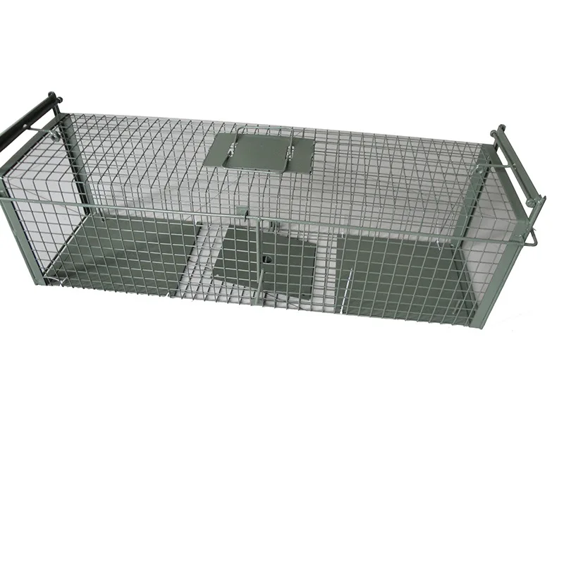 Pest Control Large Wild Animal Coyote Raccoon Live Trap