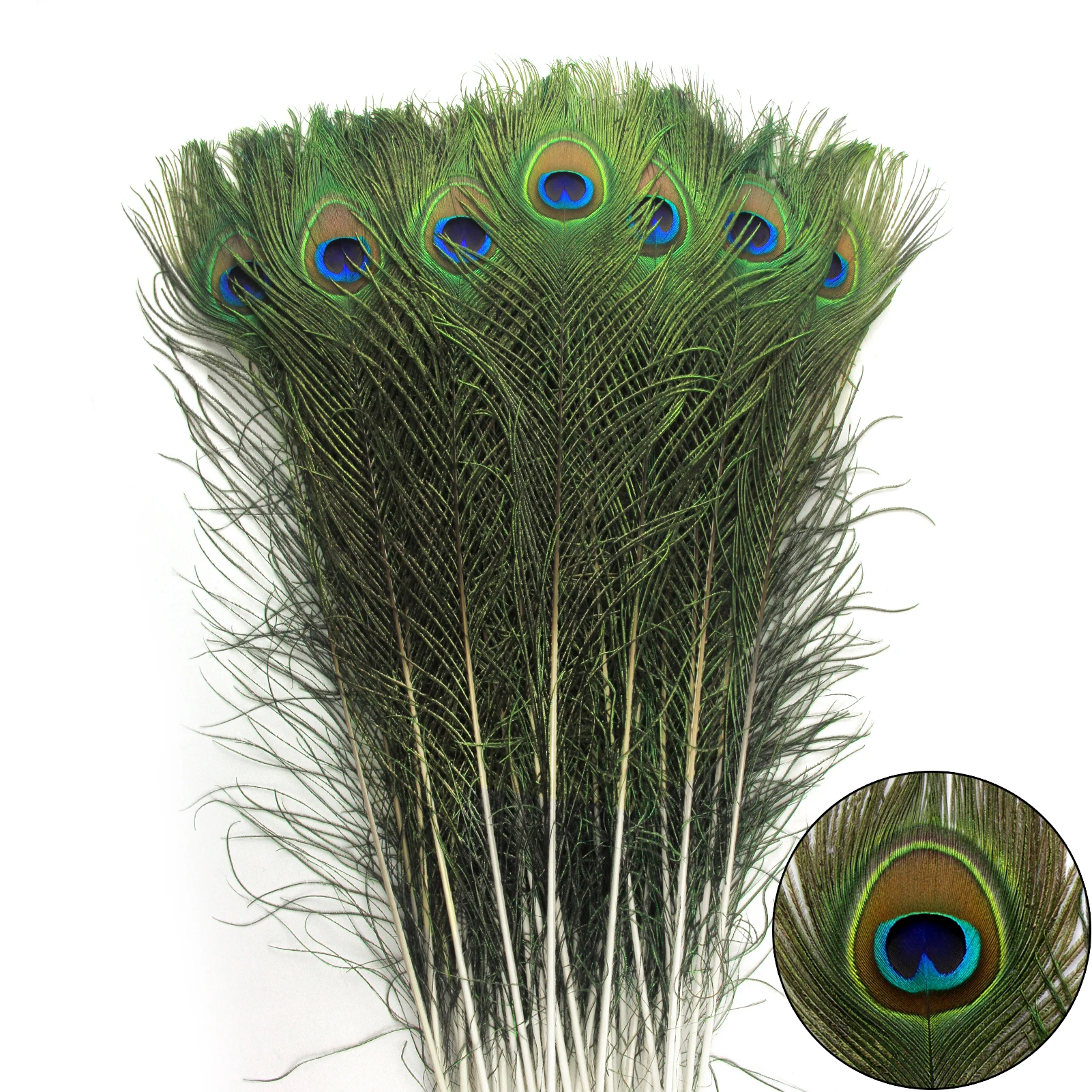 High Quality and Inexpensive Decor Peacock Feathers Real Natural Peacock Feathers Material for Cheap Sale DIY Craft Carnival