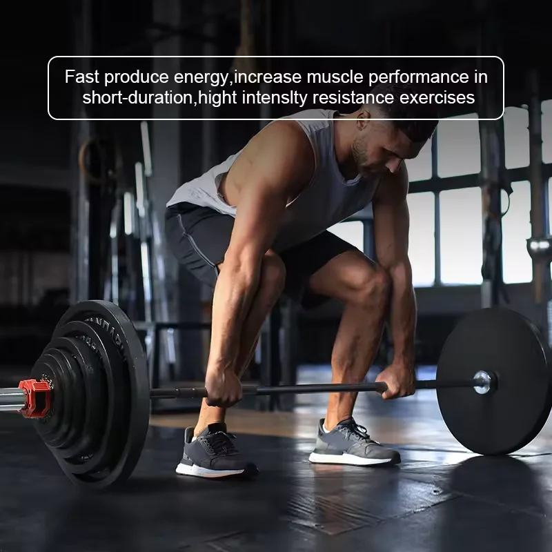 OEM sports nutrition food speed strength sports nutrition powder zinc magnesium creatine powder