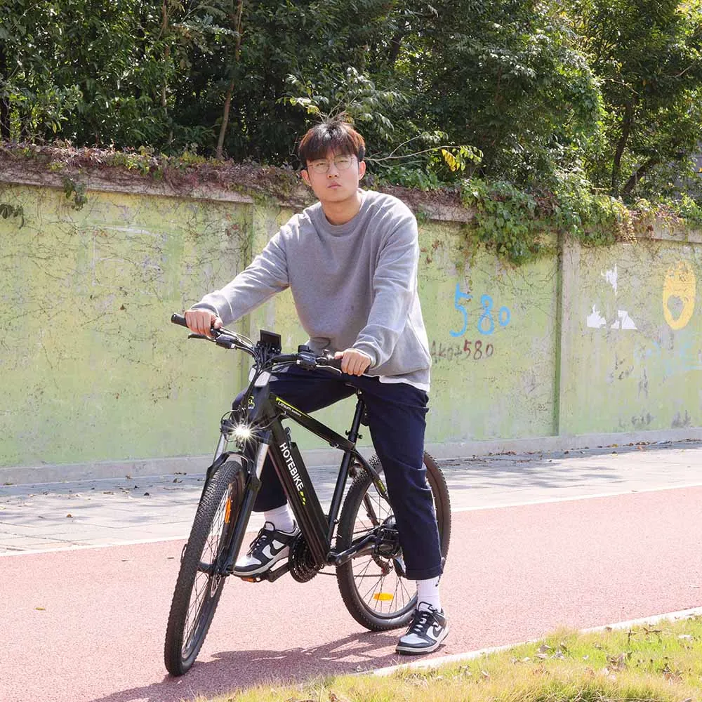 750 watt ebike light 26 inch electric bicycle 45km/h electric moped mountain dirt bike 36v 48v 500w 1000w motor e-bike